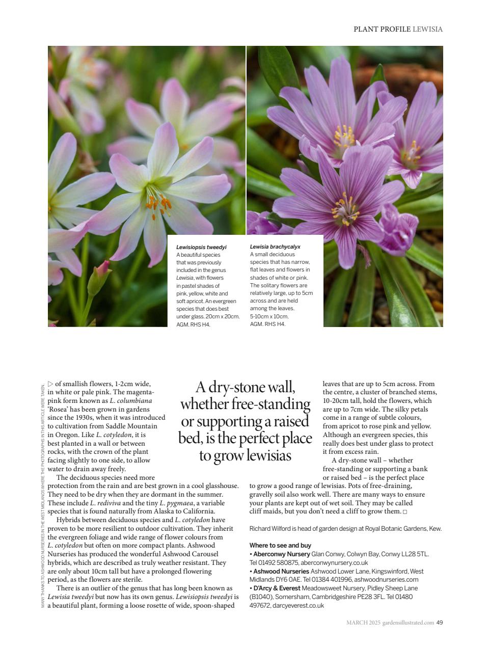 Gardens Illustrated Preview Pages