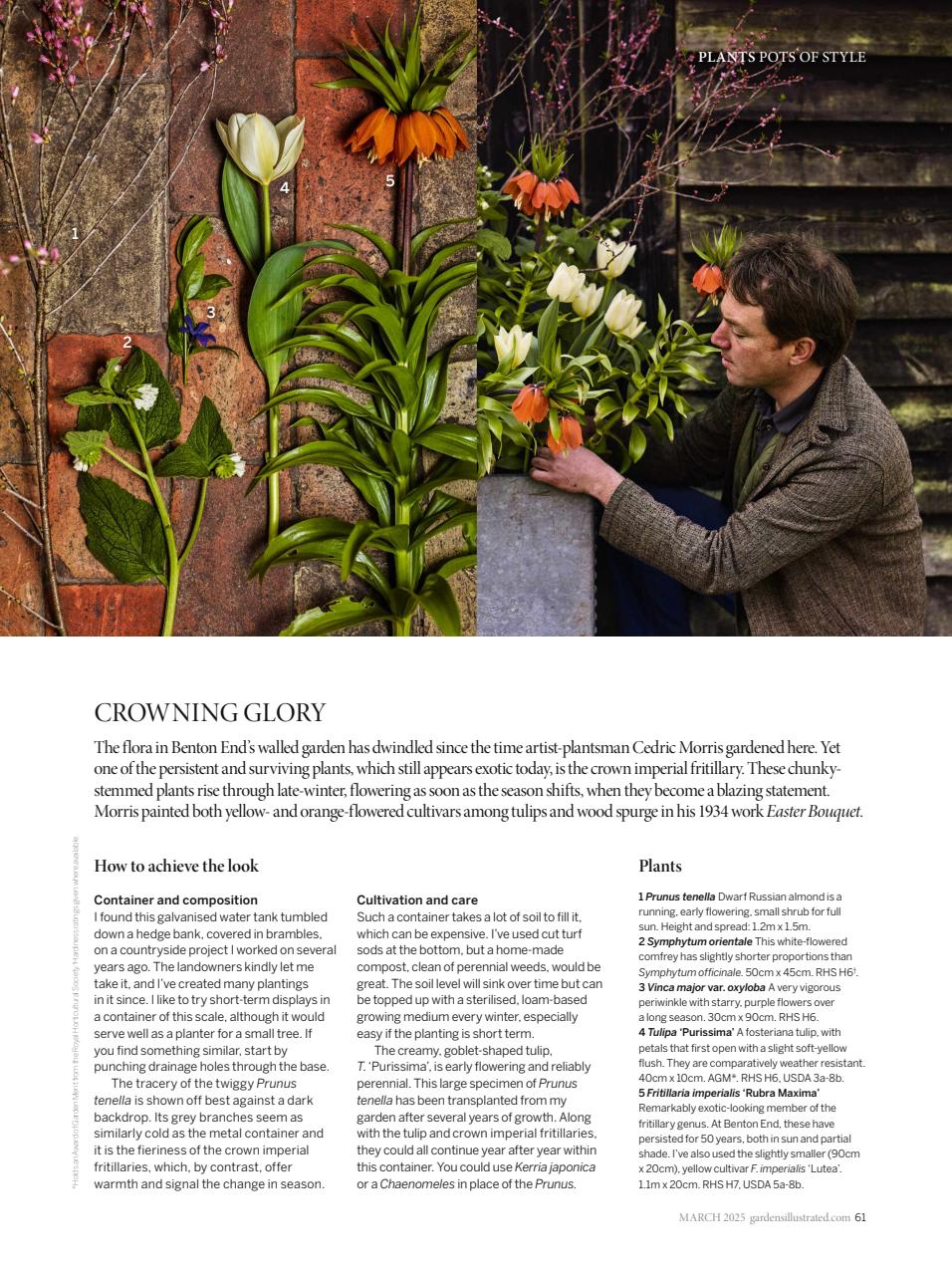 Gardens Illustrated Preview Pages