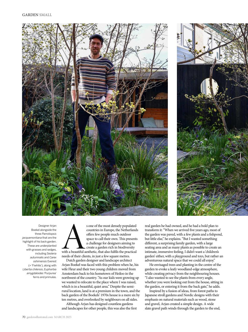 Gardens Illustrated Preview Pages