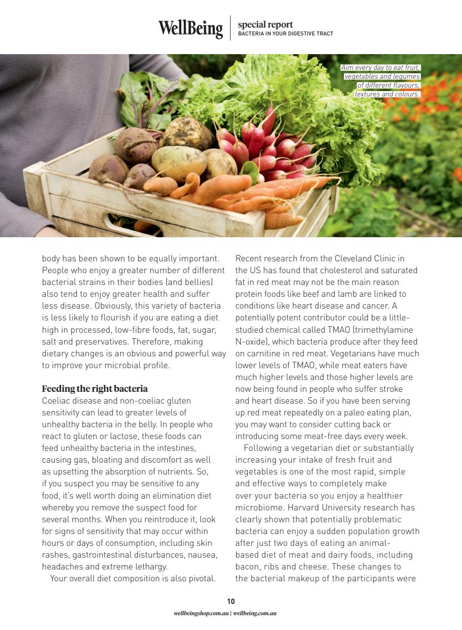 WellBeing Preview Pages