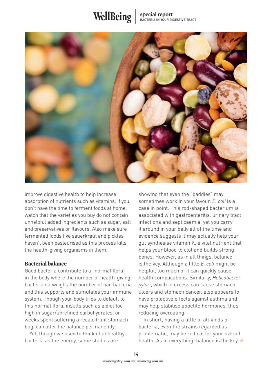 WellBeing Preview Pages