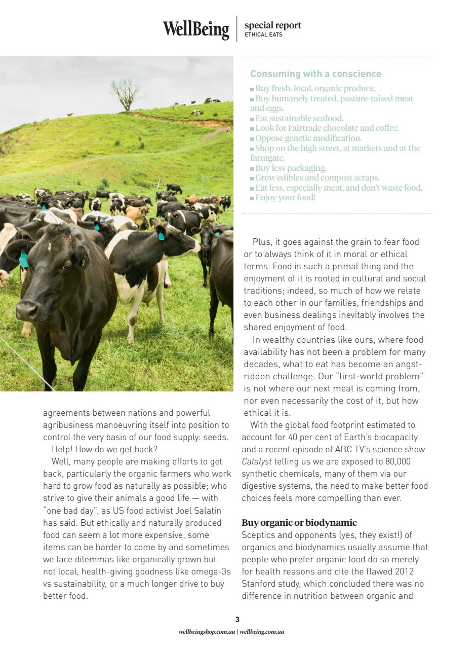 WellBeing Preview Pages