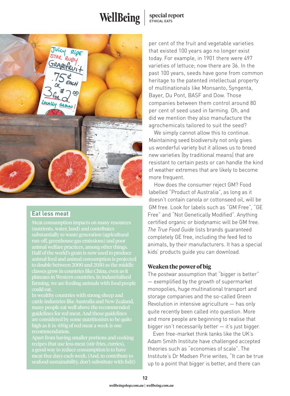 WellBeing Preview Pages