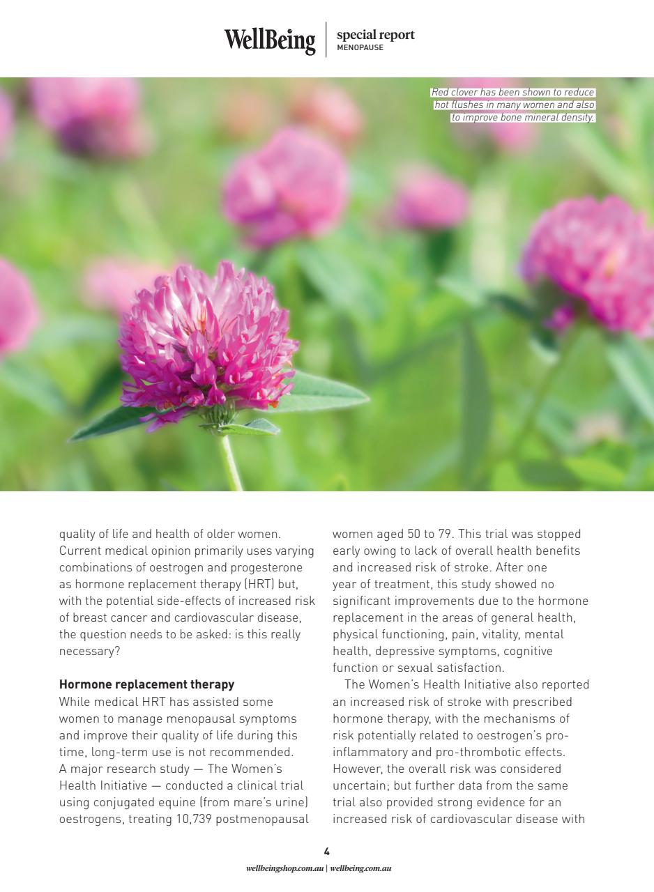 WellBeing Preview Pages