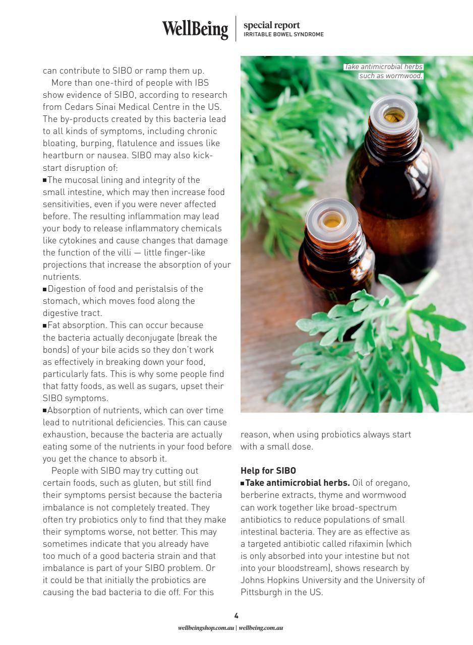 WellBeing Preview Pages