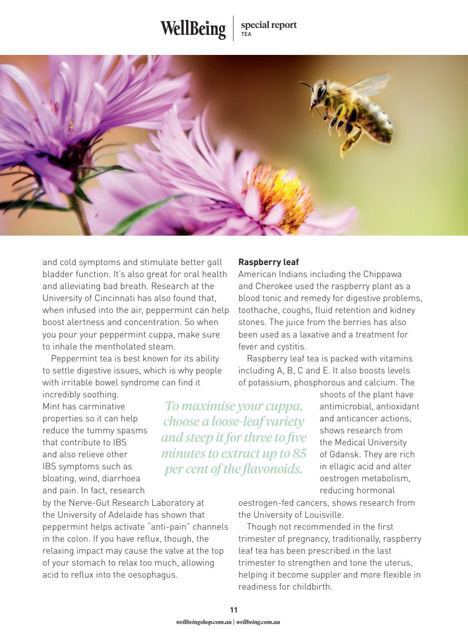 WellBeing Preview Pages