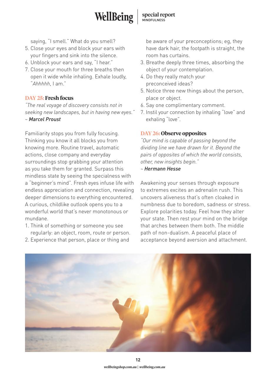 WellBeing Preview Pages