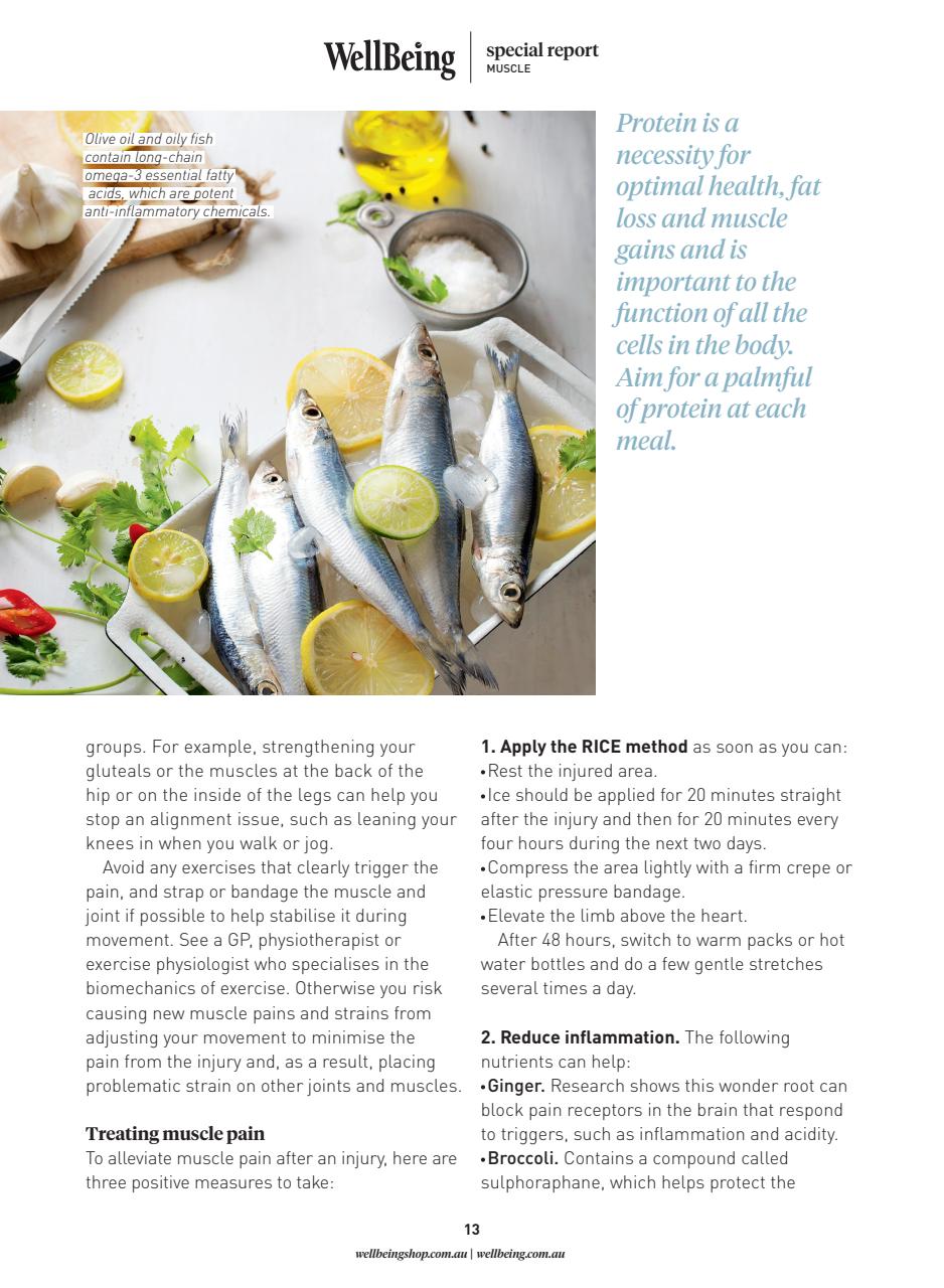 WellBeing Preview Pages