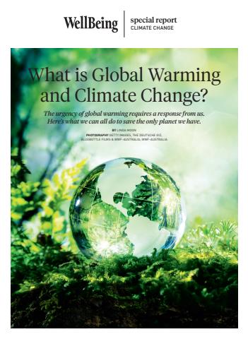 WellBeing issue What is Global Warming and climate change