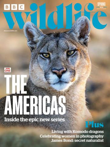 BBC Wildlife Magazine issue Spring 2025