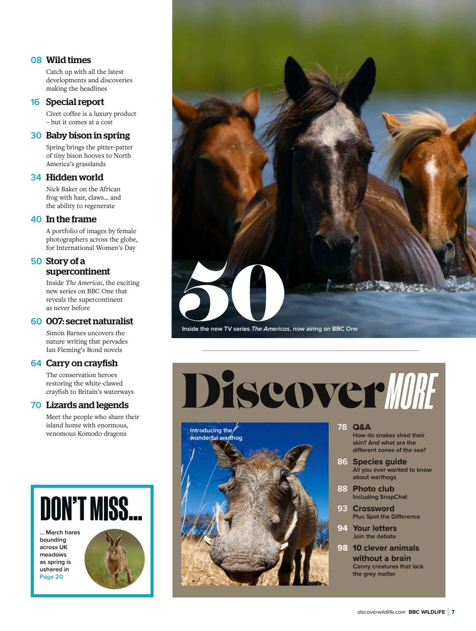BBC Wildlife Magazine Preview Pages