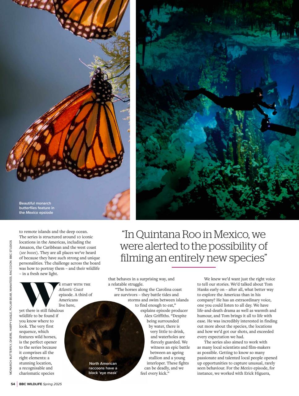 BBC Wildlife Magazine Preview Pages