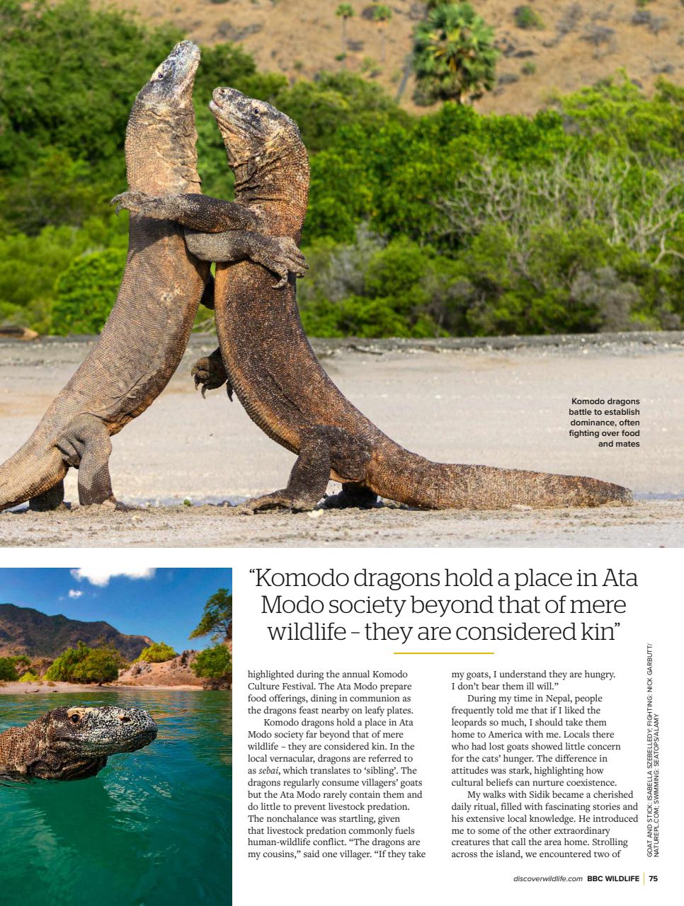 BBC Wildlife Magazine Preview Pages
