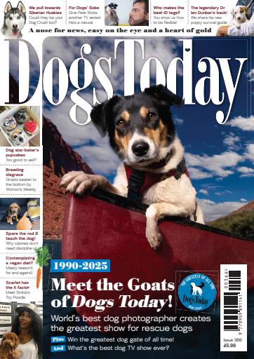 Dogs Today Magazine issue 