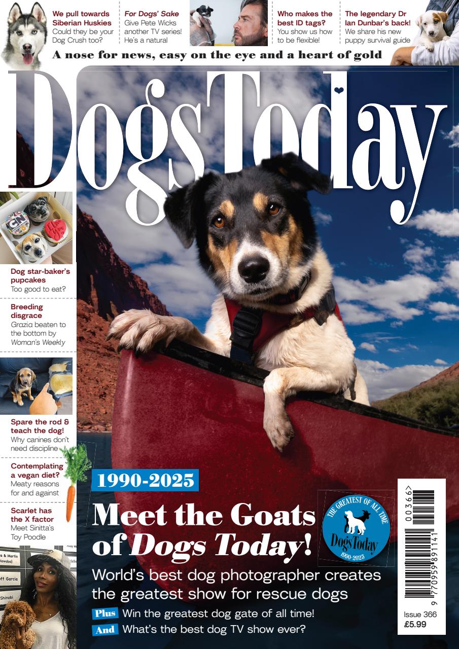 Dogs Today Magazine Preview Pages