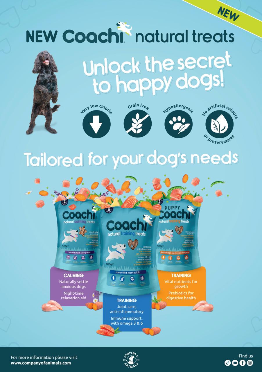 Dogs Today Magazine Preview Pages