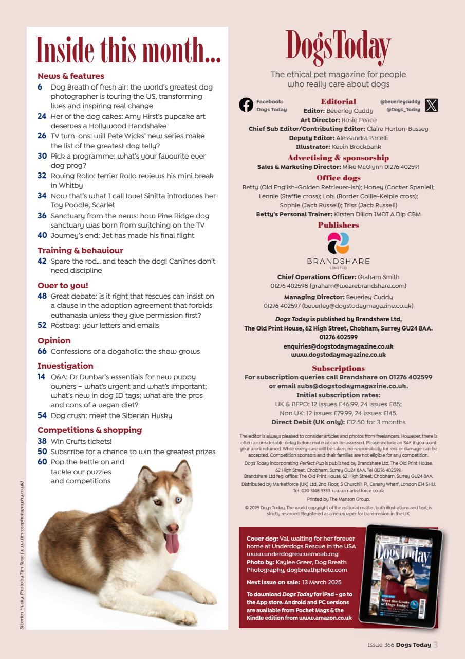 Dogs Today Magazine Preview Pages