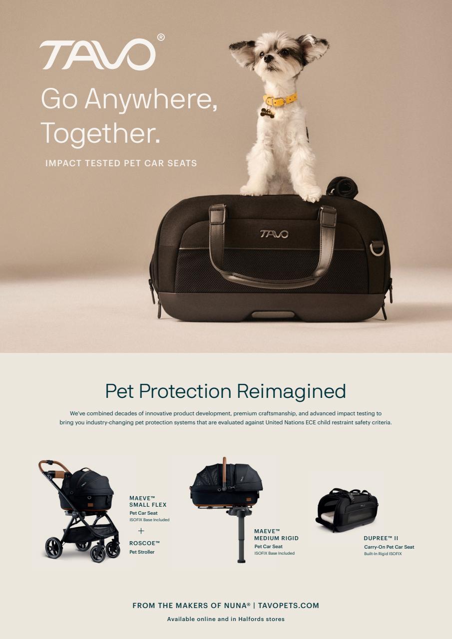 Dogs Today Magazine Preview Pages