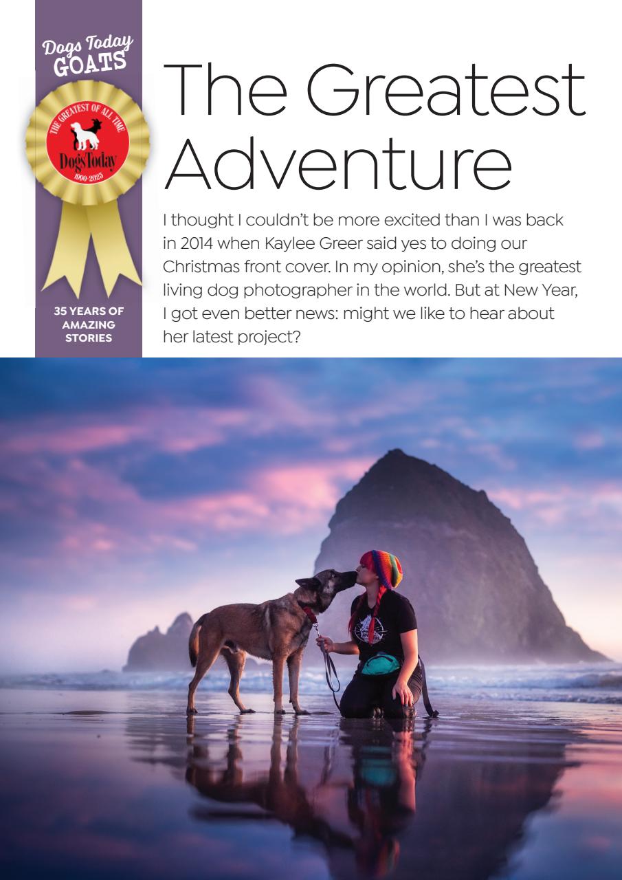 Dogs Today Magazine Preview Pages