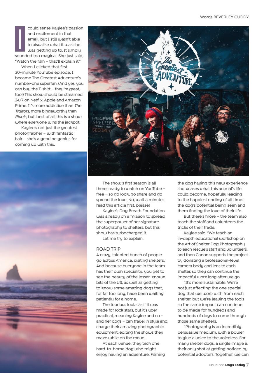 Dogs Today Magazine Preview Pages