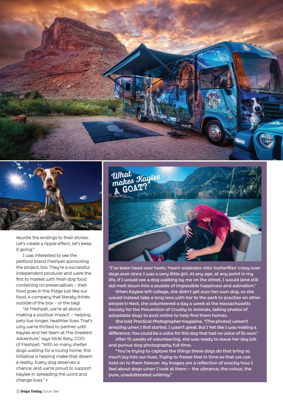 Dogs Today Magazine Preview Pages