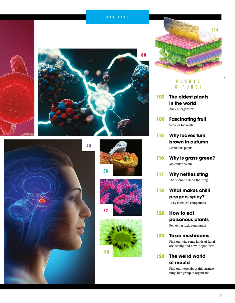 How It Works Bookazine Preview Pages