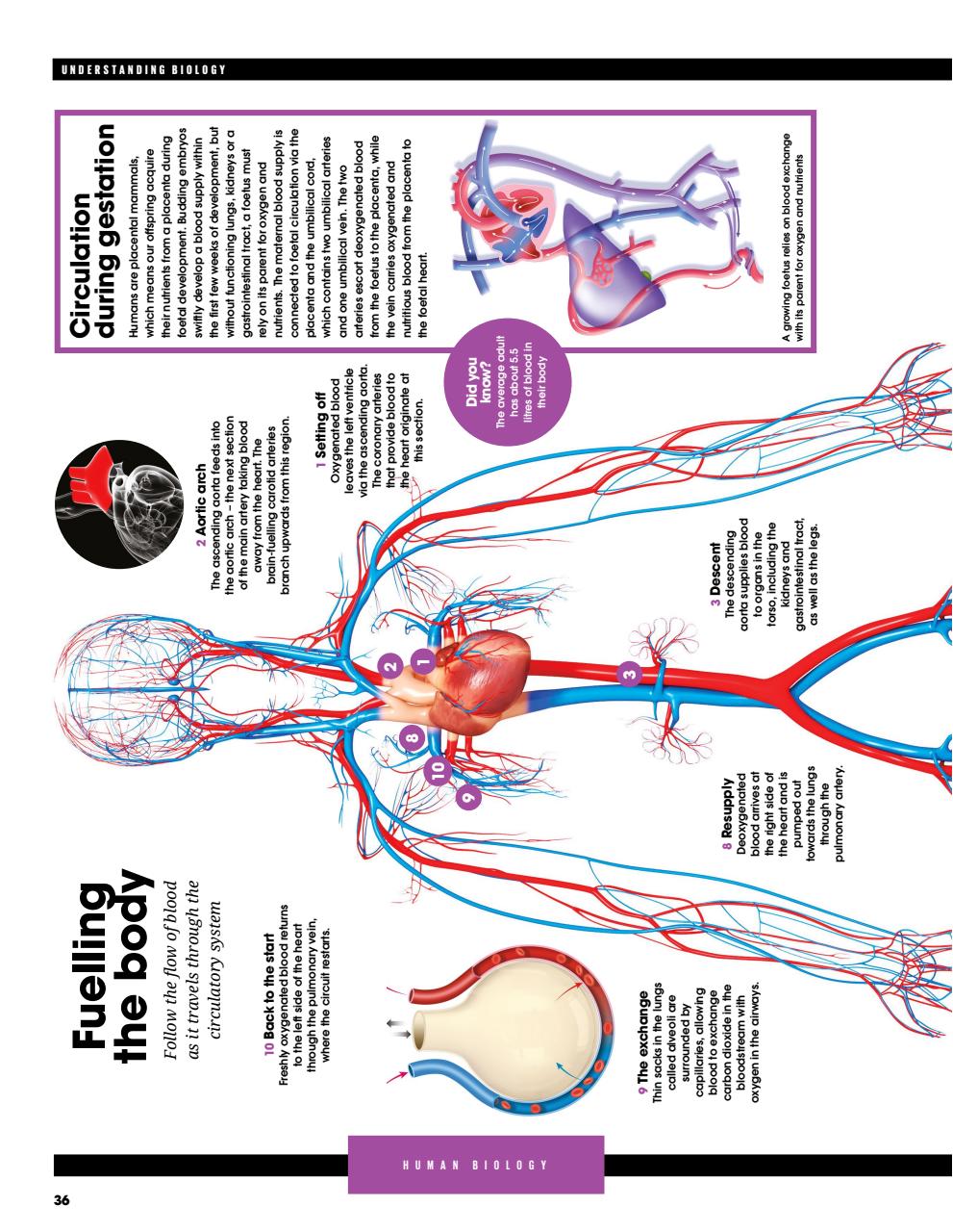 How It Works Bookazine Preview Pages
