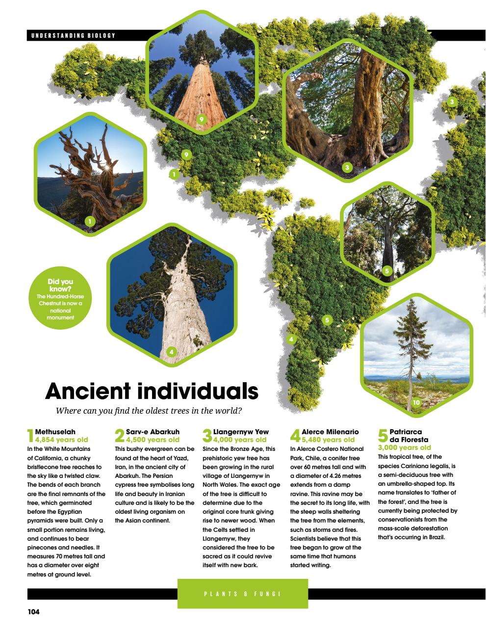 How It Works Bookazine Preview Pages