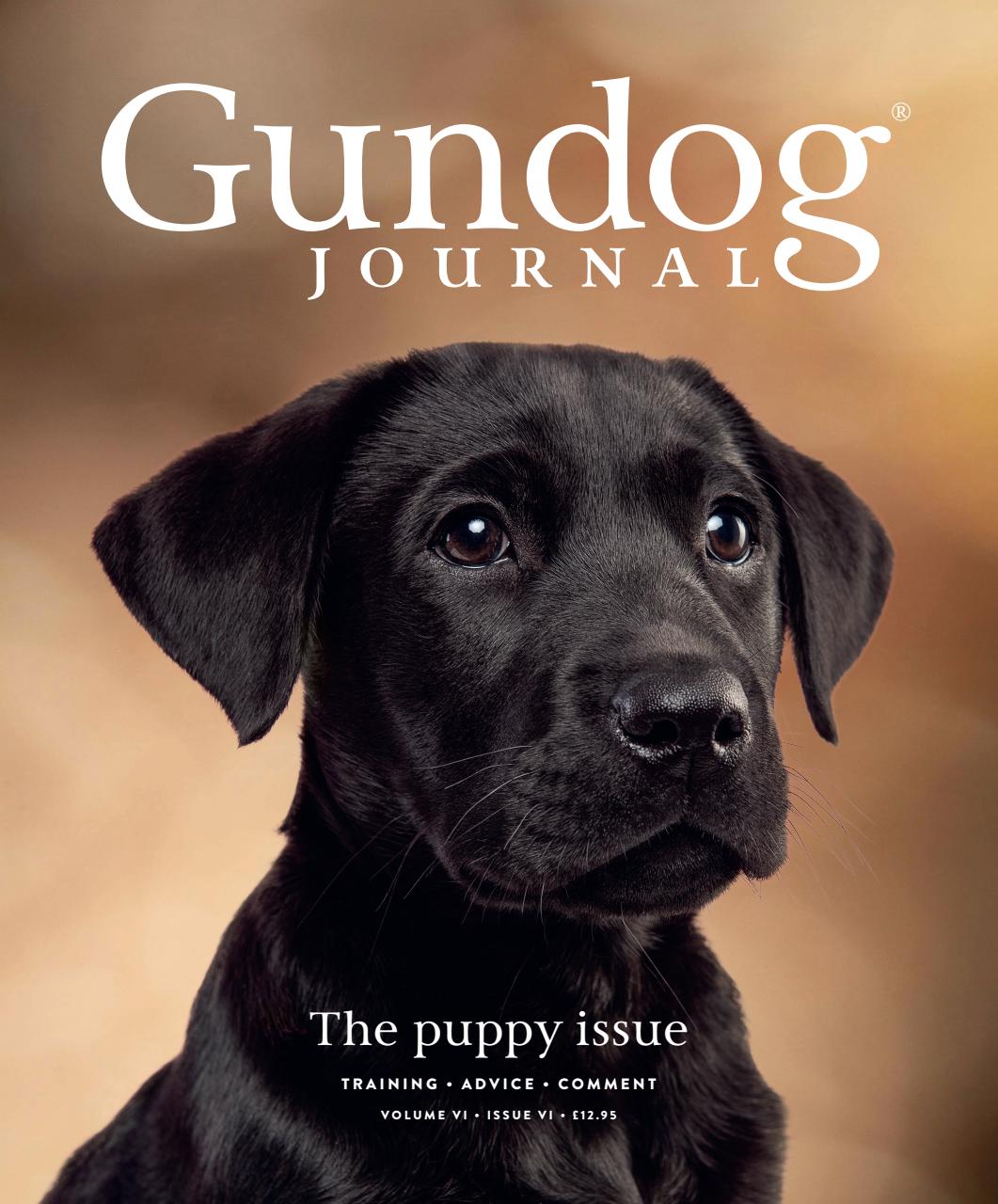 Gundog Journal Preview Pages