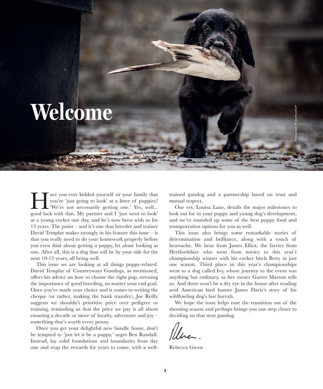 Gundog Journal Preview Pages