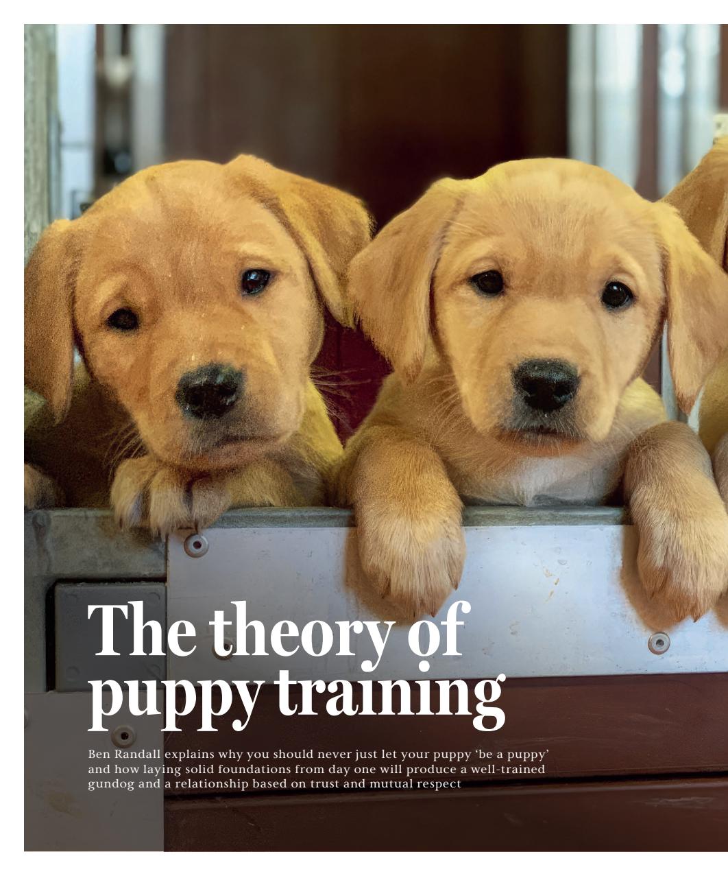 Gundog Journal Preview Pages