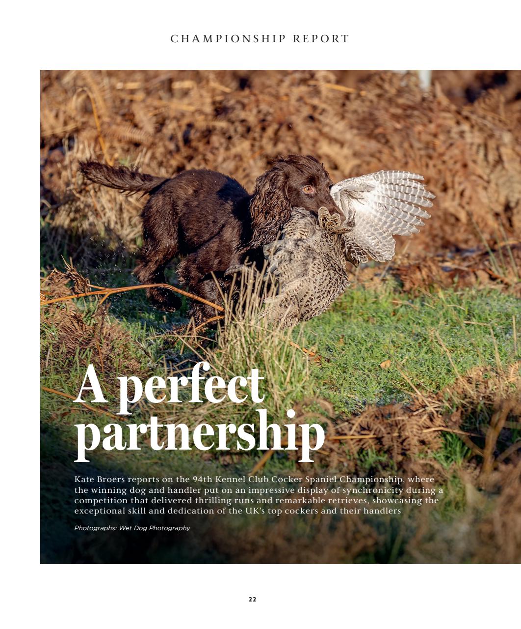 Gundog Journal Preview Pages