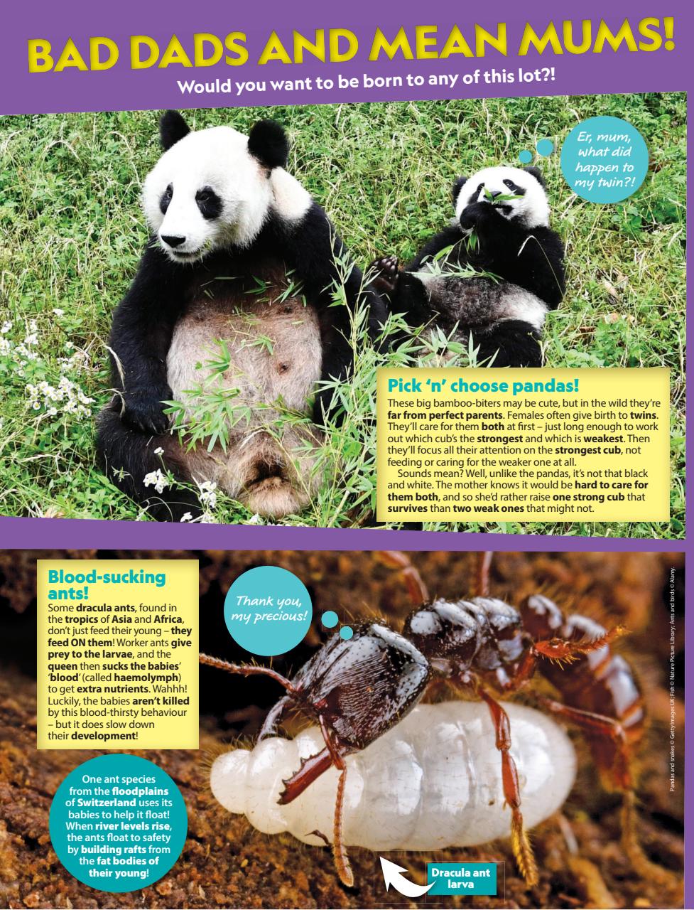 National Geographic Kids Preview Pages