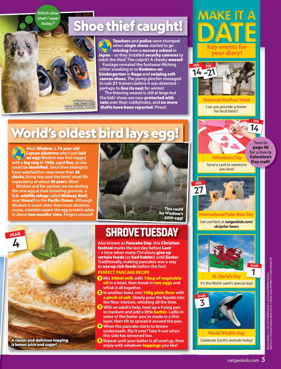National Geographic Kids Preview Pages