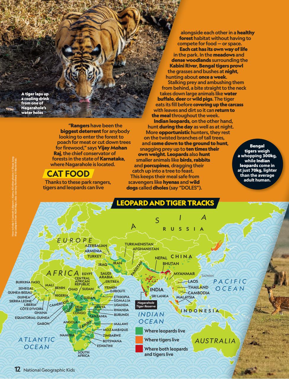 National Geographic Kids Preview Pages