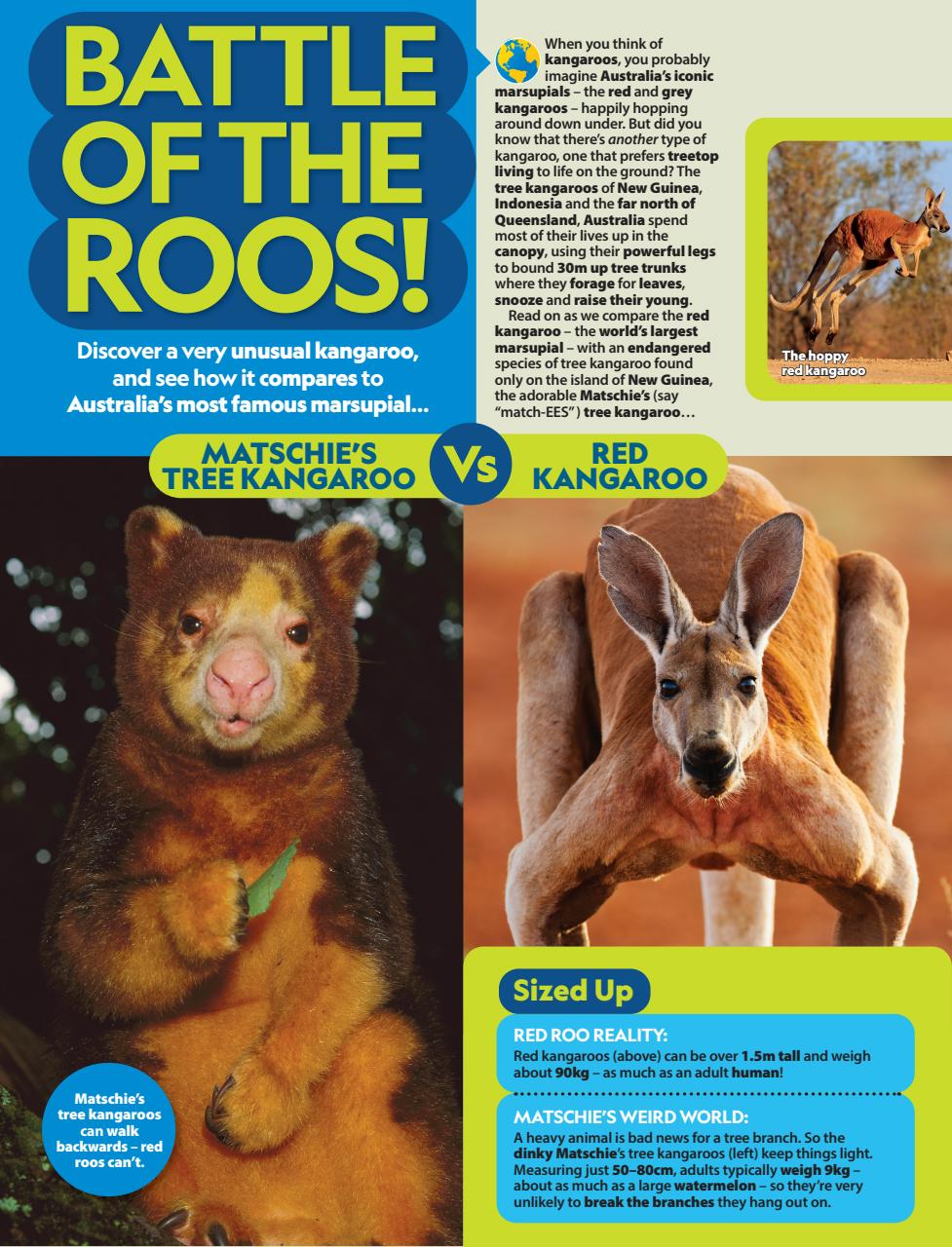 National Geographic Kids Preview Pages