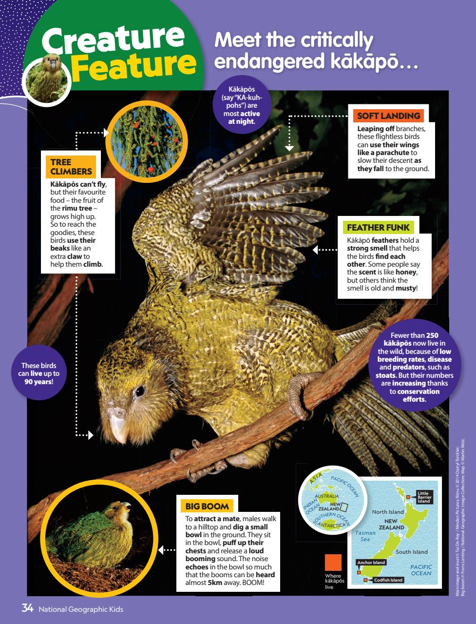 National Geographic Kids Preview Pages