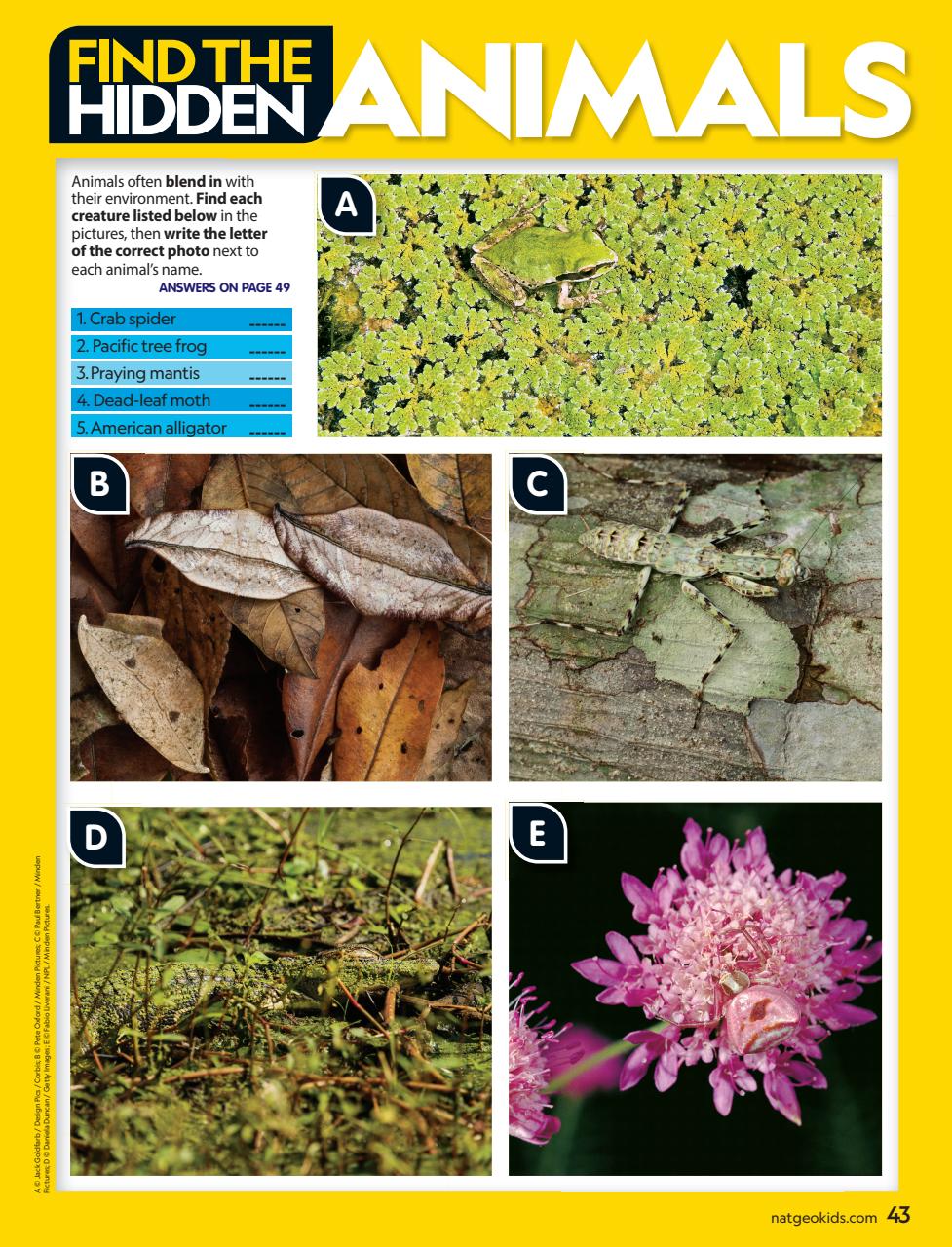 National Geographic Kids Preview Pages