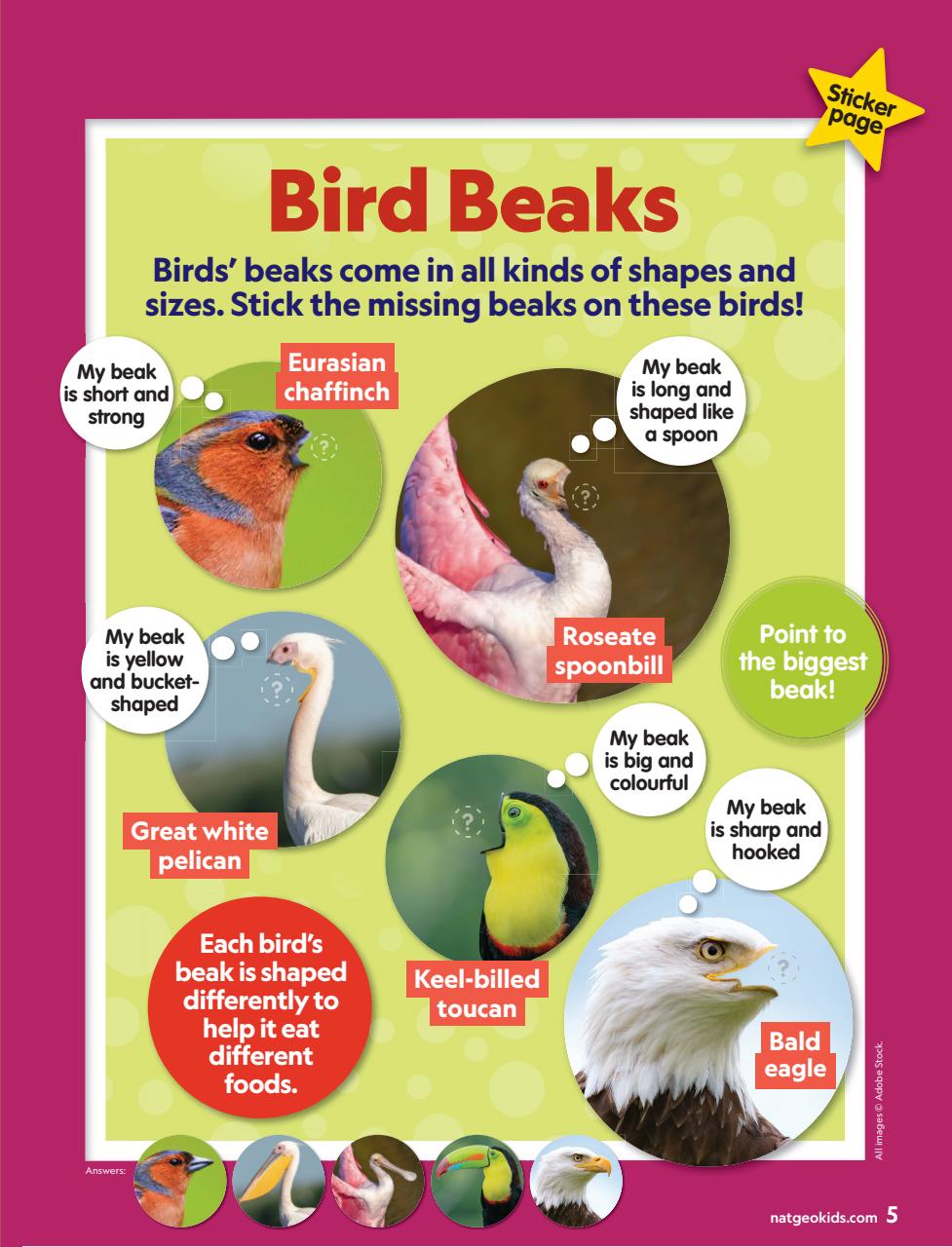 National Geographic Little Kids Preview Pages