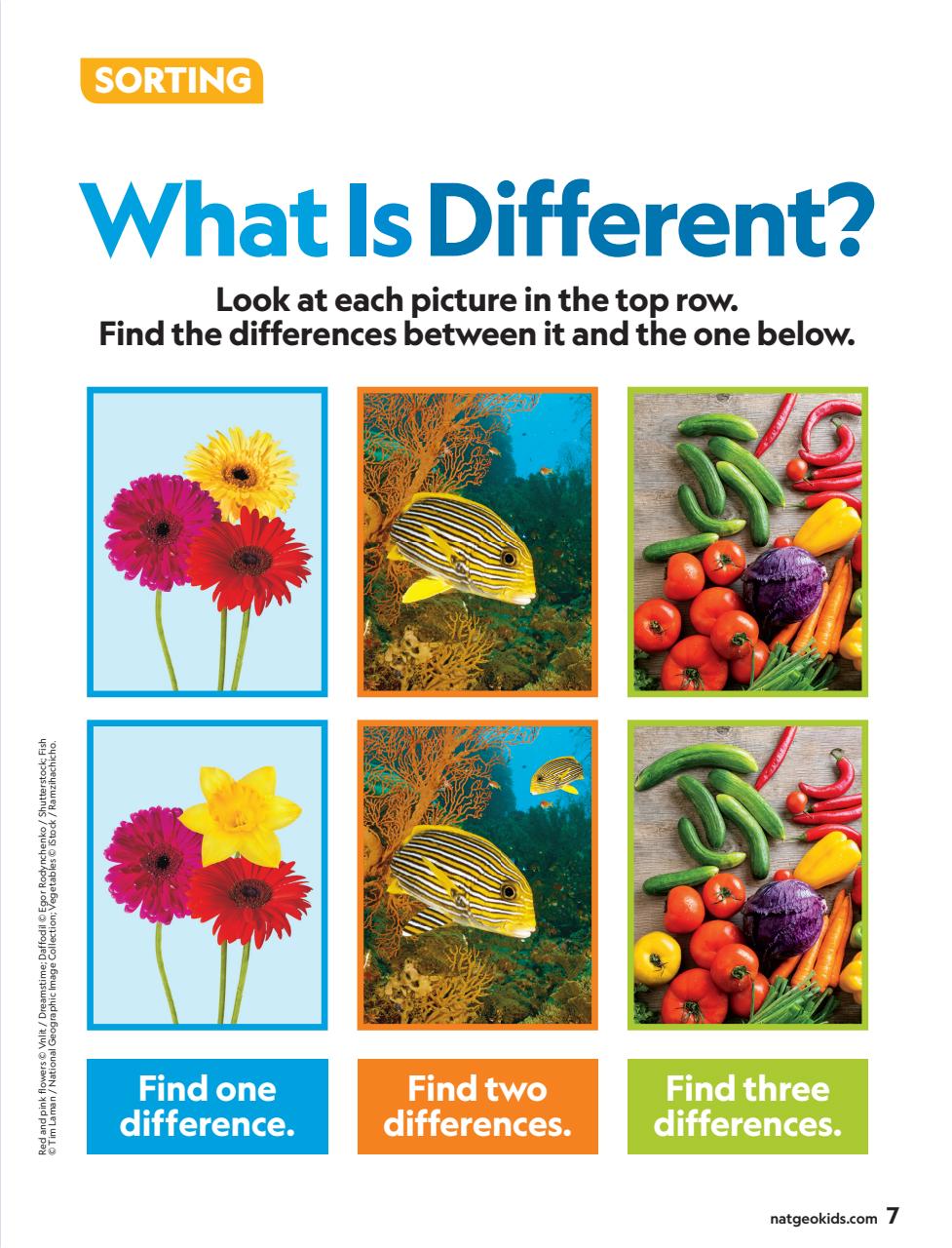 National Geographic Little Kids Preview Pages