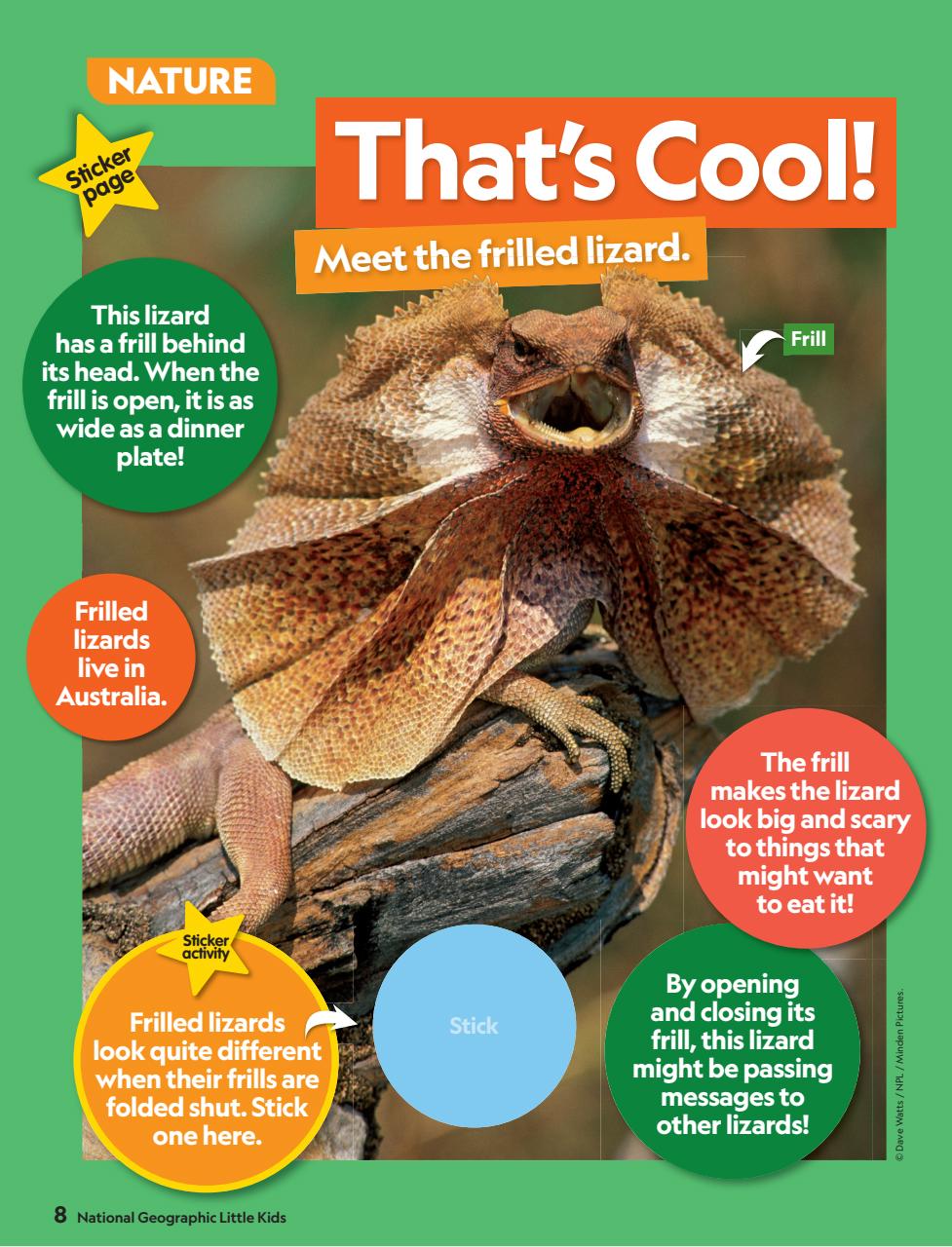 National Geographic Little Kids Preview Pages