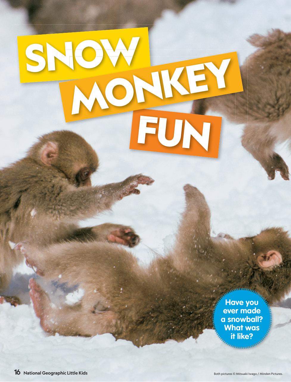 National Geographic Little Kids Preview Pages