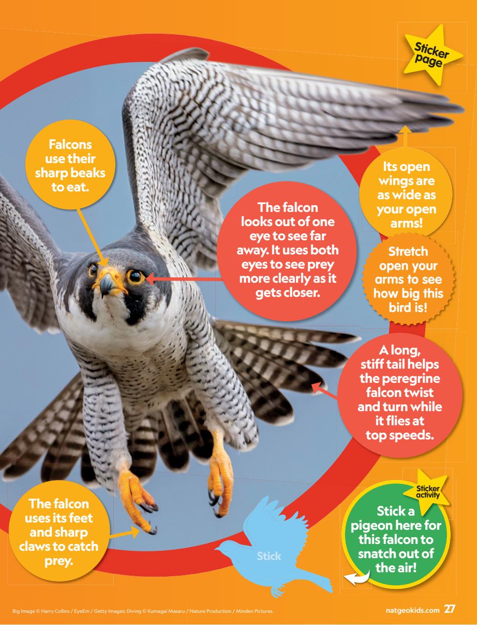 National Geographic Little Kids Preview Pages