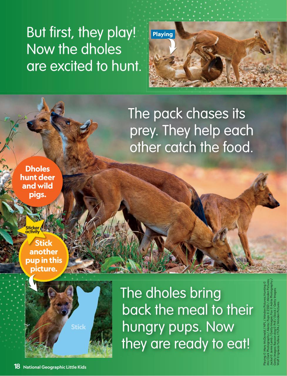 National Geographic Little Kids Preview Pages