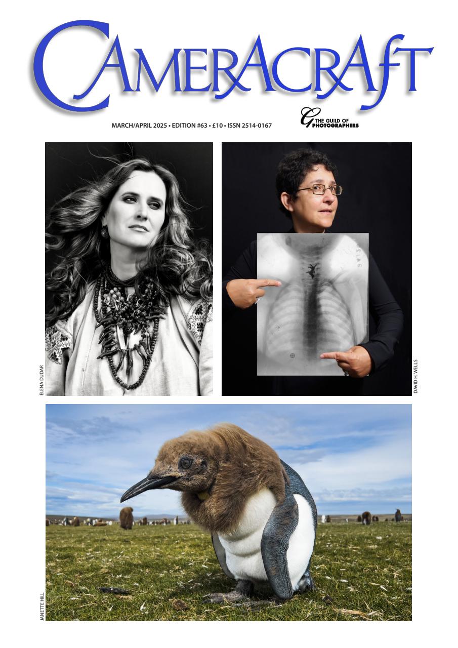 f2 Cameracraft Preview Pages