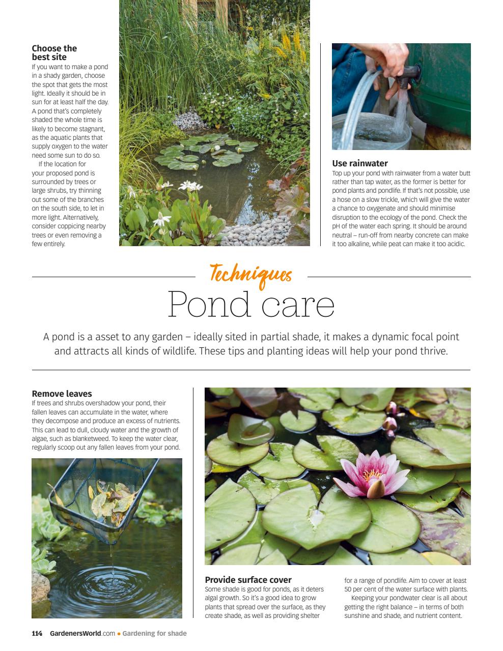 BBC Gardeners’ World Magazine Preview Pages