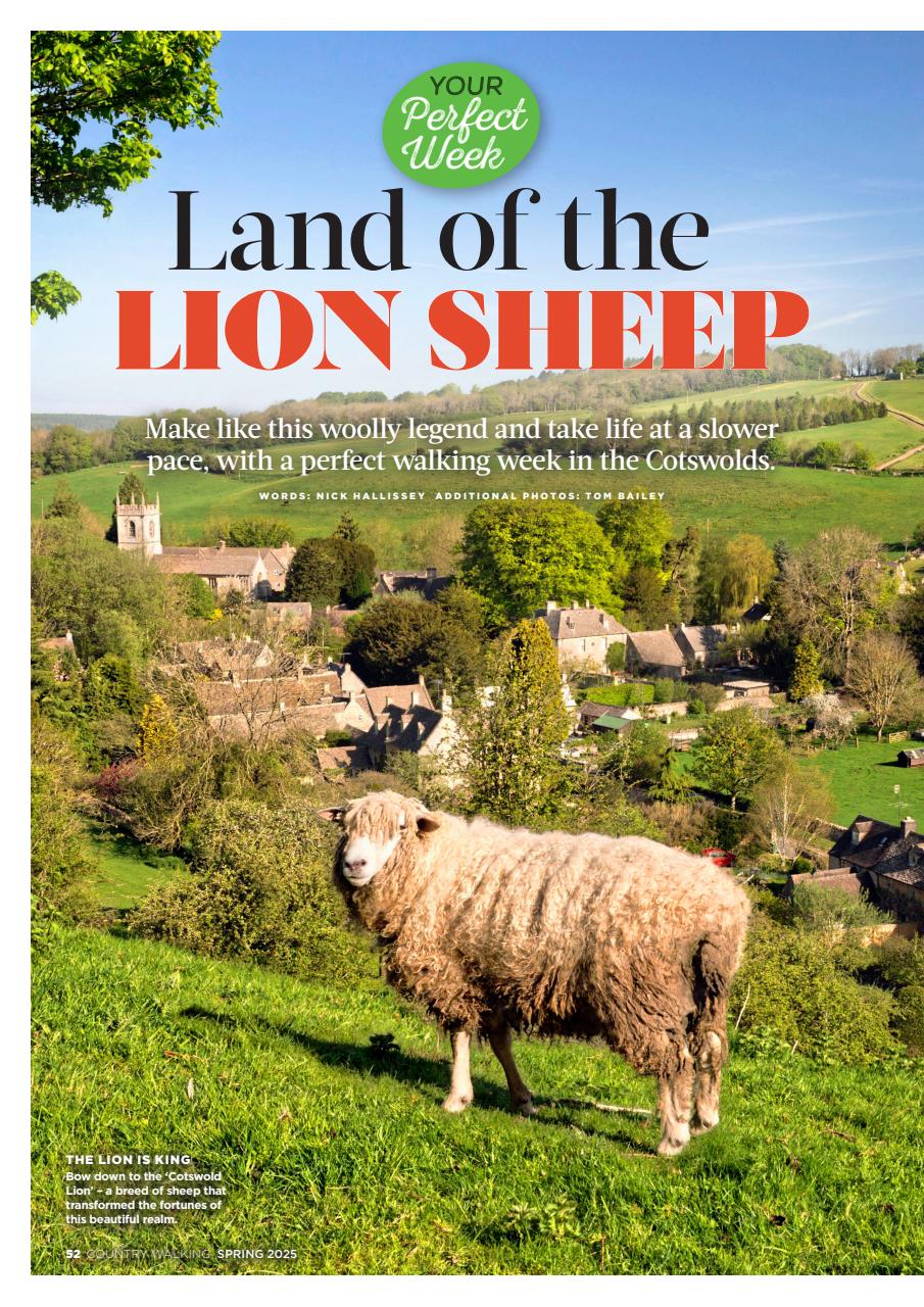 Country Walking Preview Pages