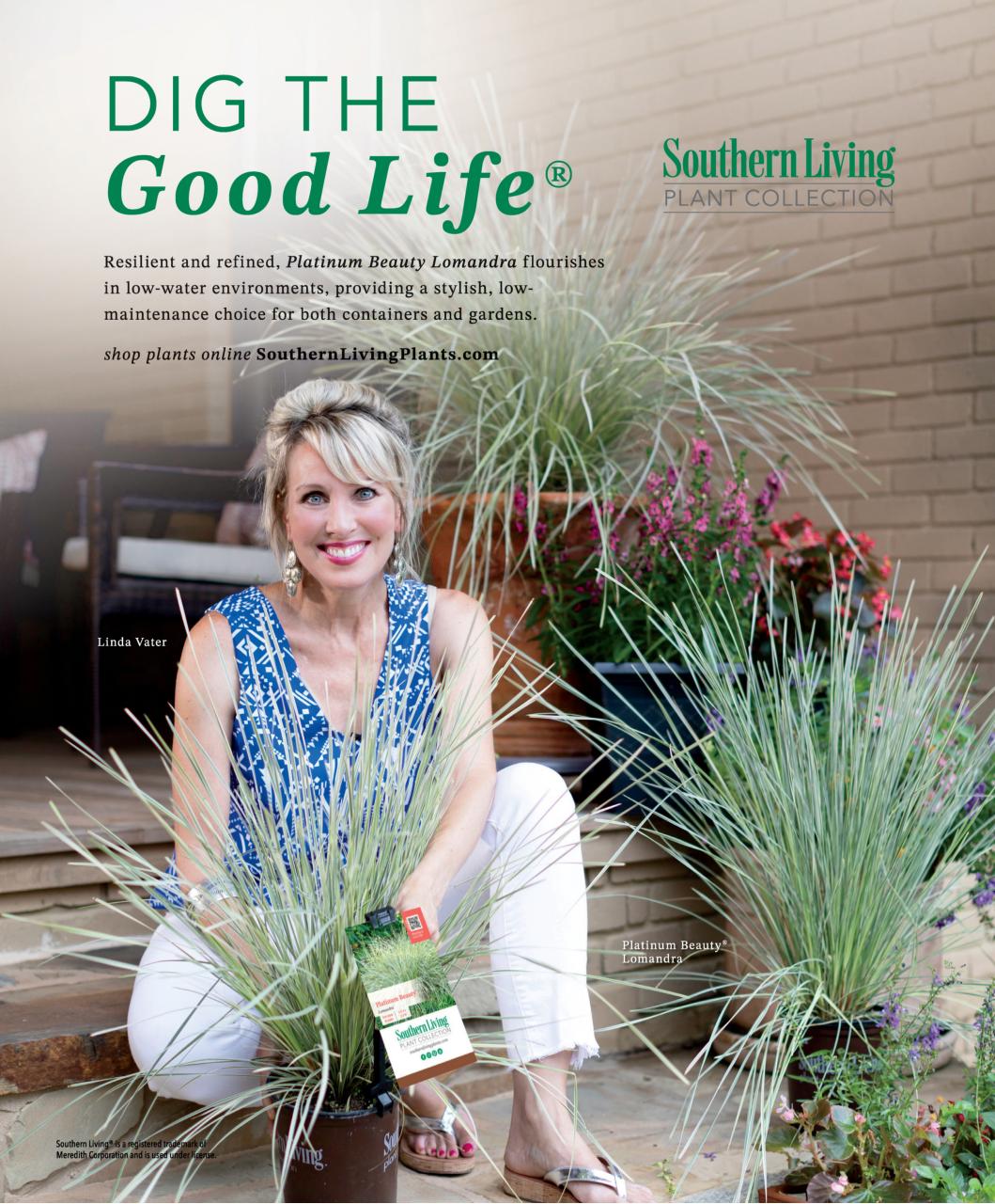 Real Simple Preview Pages