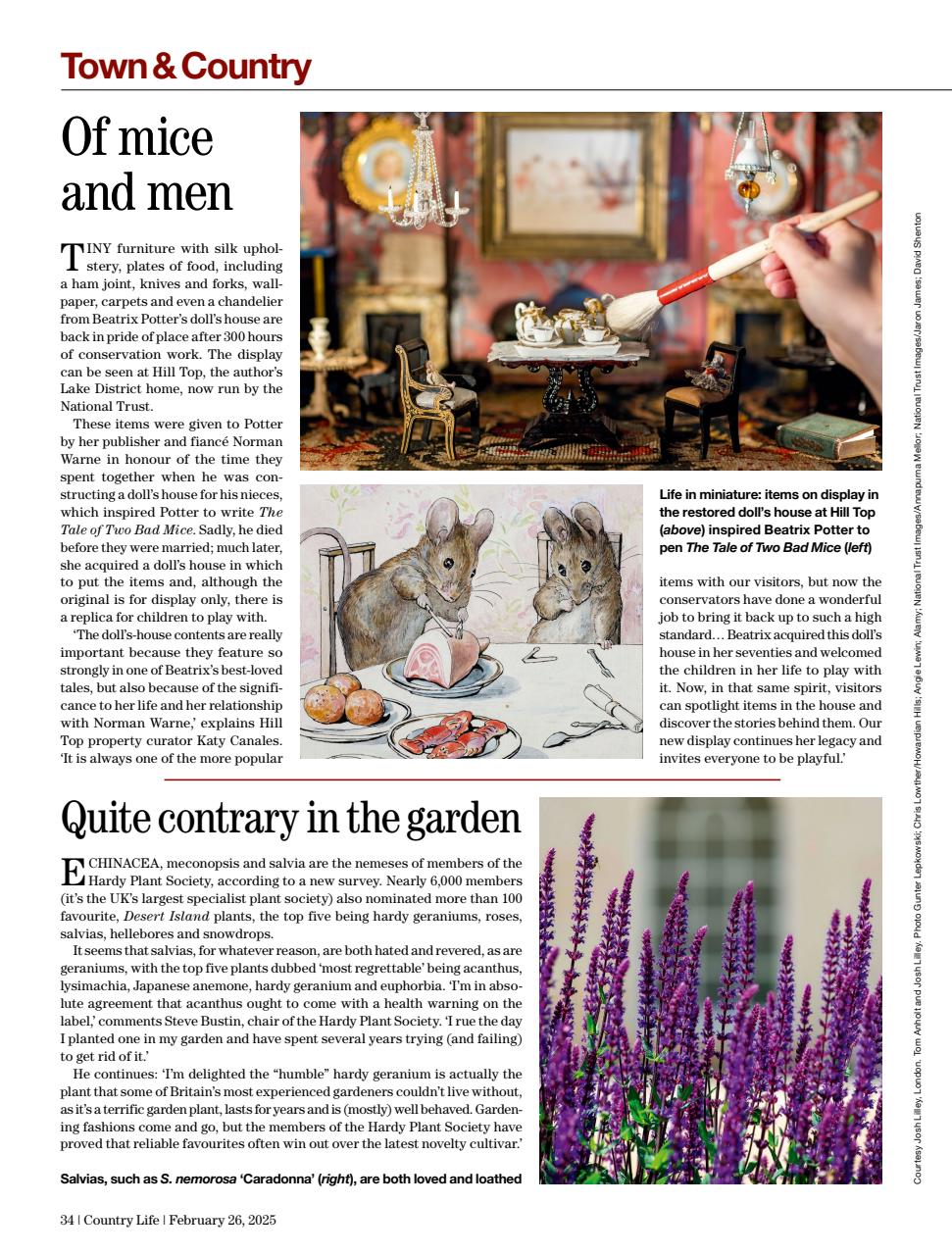 Country Life Preview Pages