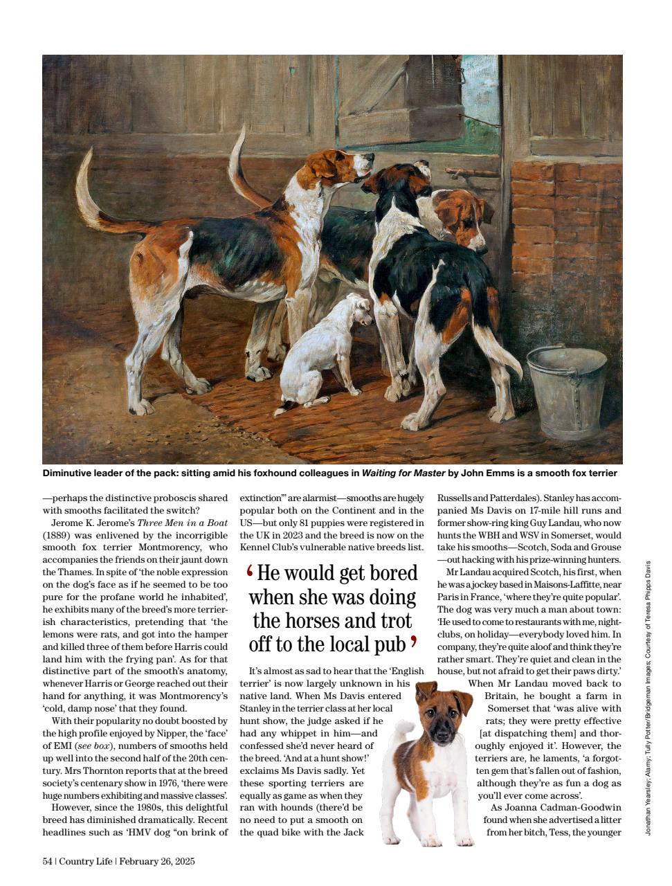 Country Life Preview Pages